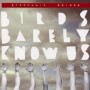 Birds Barely Know Us **On Sale**