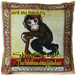 Ain't My Monkey