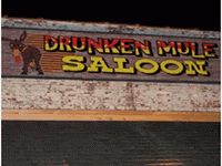 Drunken Mule Saloon 